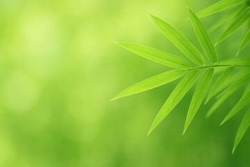 Obraz premium Bright green bamboo leaves against blurred background