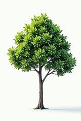 Minimalist tree on white background, highlighting its texture and shape, calm, tree, organic