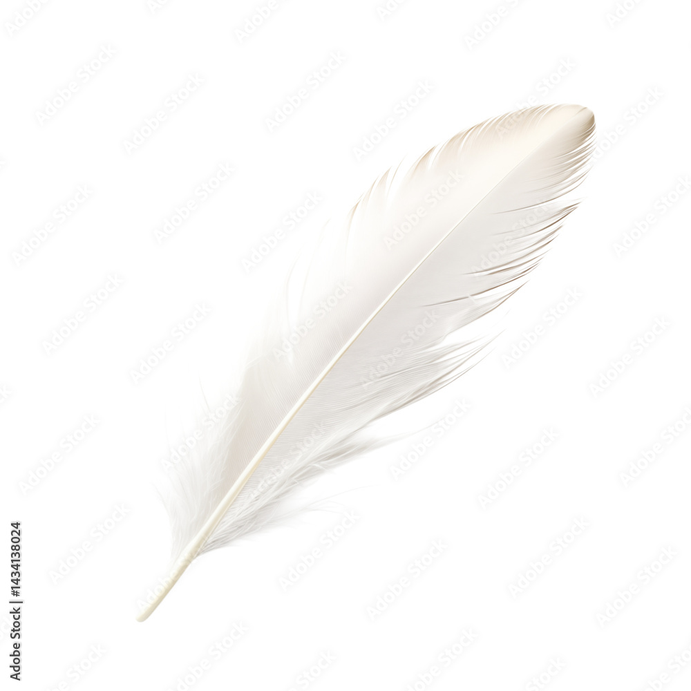 Poster a single white feather isolated against a plain transparent background in a studio setting close up 