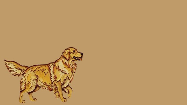 dog  animated illustration
