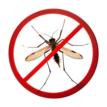 Mosquito Control Prevent Mosquito Bites with Effective Strategies on transparent background