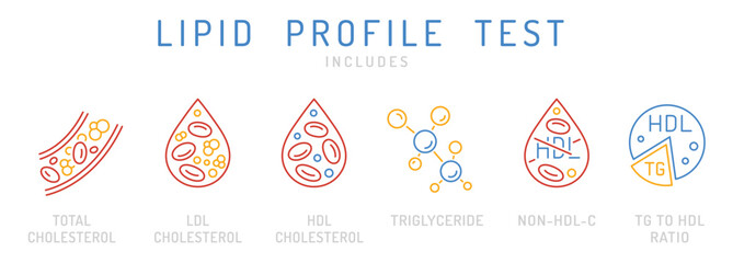 Lipid profile test icons. Outline vector illustration