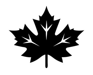 A clean vector illustration of Maple Leaf silhouette