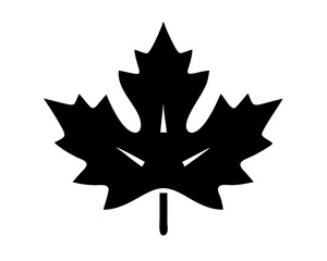A clean vector illustration of Maple Leaf silhouette