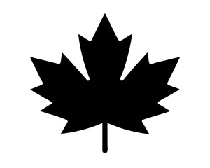 A clean vector illustration of Maple Leaf silhouette