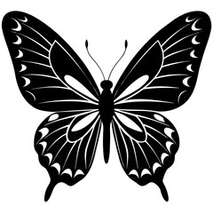 butterfly vector illustration
