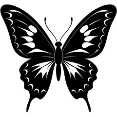 butterfly vector illustration