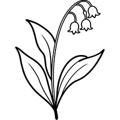 black and white flower