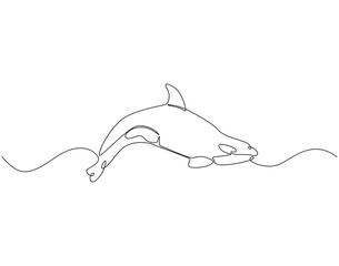 Obraz premium Continuous line drawing of orca whale. Single line illustration of killer whale. Predatory marine fish concept. Editable outline