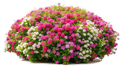 imagine bush of flowers isolated on transparent background PNG