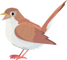 Nightingale bird singing melodiously on a white background