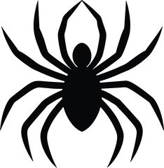 black and white spider