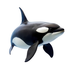 Majestic Orca Whale Stunning Photo of Killer Whale on transparent background