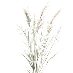 Delicate interplay of textures in bleached ornamental grass against a serene, minimalist setting