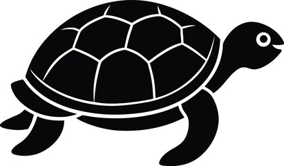 turtle vector illustration