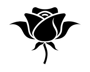 vector illustration of rose