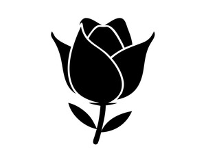 vector illustration of rose