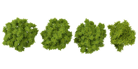 Obraz premium Collection of abstract watercolor green tree top view isolated on white background