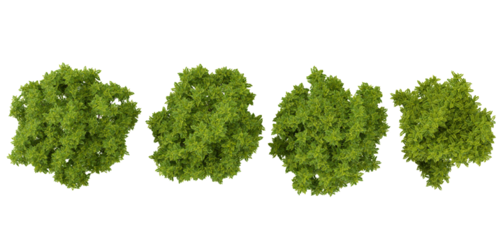 Collection of abstract watercolor green tree top view isolated on white background