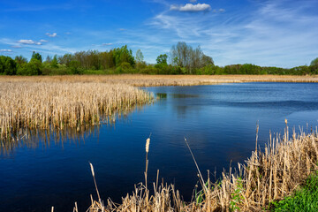 Wiosenny spacer w słońcu, Stawy Dolidzkie, Podlasie, Polska