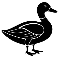 Animal Mallard silhouette vector illustrator