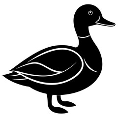 Animal Mallard silhouette vector illustrator
