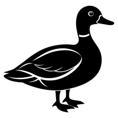 Animal Mallard silhouette vector illustrator
