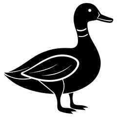 Animal Mallard silhouette vector illustrator