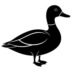 Animal Mallard silhouette vector illustrator