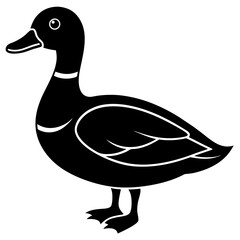 Animal Mallard silhouette vector illustrator