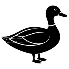 Animal Mallard silhouette vector illustrator
