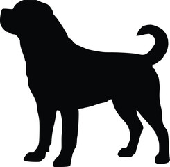 Standing Rottweiler Dog Sideview Silhouette Illustration Vector
