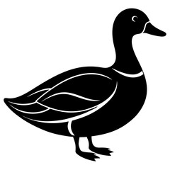 Animal Mallard silhouette vector illustrator
