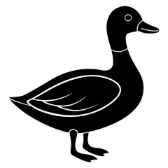 Animal Mallard silhouette vector illustrator
