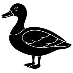 Animal Mallard silhouette vector illustrator