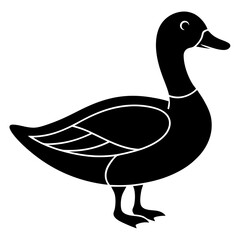 Animal Mallard silhouette vector illustrator