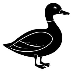 Animal Mallard silhouette vector illustrator