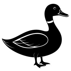 Animal Mallard silhouette vector illustrator