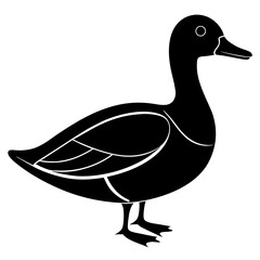 Animal Mallard silhouette vector illustrator