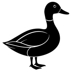 Animal Mallard silhouette vector illustrator