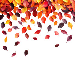 Falling autumn leaves forest nature vibrant colors isolated on transparent background