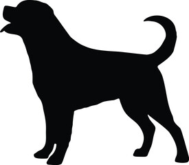 Rottweiler Dog Standing Sideview Silhouette Illustration Vector