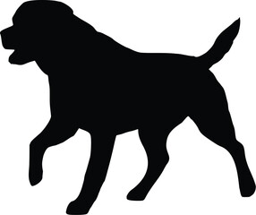 Rottweiler Dog Walking Silhouette Illustration Vector