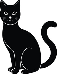 black cat on white background