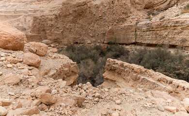 The unrivaled  splendor of nature in Arugot Stream Nature Reserve near the Dead Sea in southern Israel