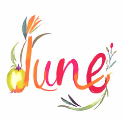 month of june word text with fruit and branch vector illustration
