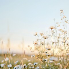 A serene field of delicate flowers swaying gently in the breeze, set against a soft, pastel sky during a tranquil evening.