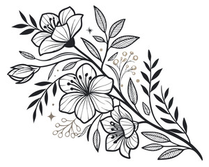 Delicate Monochrome Flower Stem with Buds and Berries.