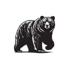 bear vector illustration