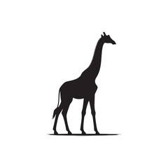 giraffe vector illustration